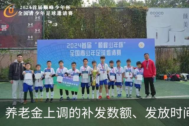 养老金上调的补发数额、发放时间，一文讲透，退休朋友收好