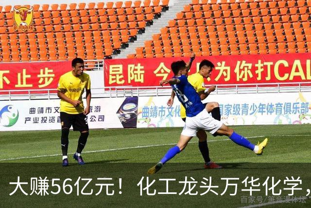 大赚56亿元！化工龙头万华化学，第三季度净利大增84%，股价较年内高点回撤近三成