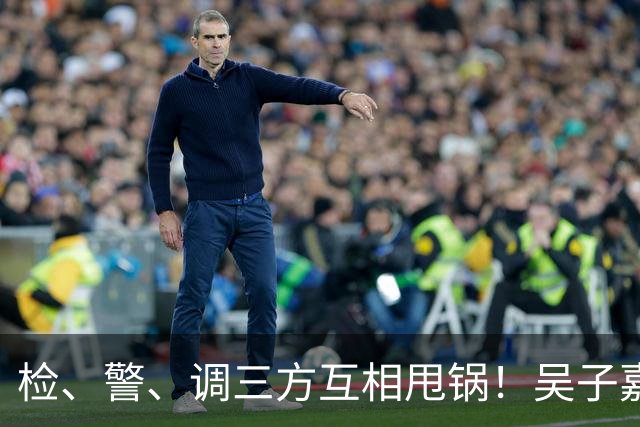 检、警、调三方互相甩锅！吴子嘉上演反击教科书，郑丽文可以效仿
