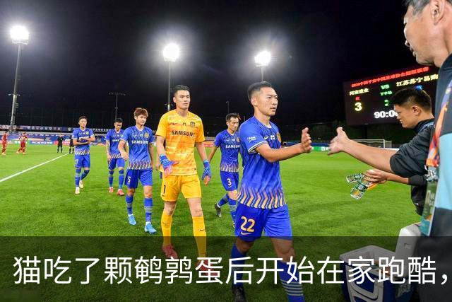 猫吃了颗鹌鹑蛋后开始在家跑酷，从客厅到厨房来回冲刺半小时，主人吓到发帖问“是不是吃坏了”，想不到评论区全是懂猫咪的“知音”
