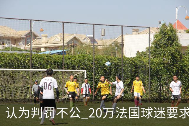 认为判罚不公 20万法国球迷要求世界杯决赛重赛