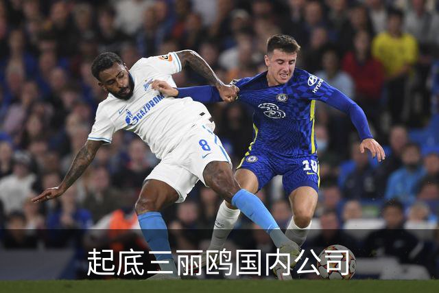 起底三丽鸥国内公司