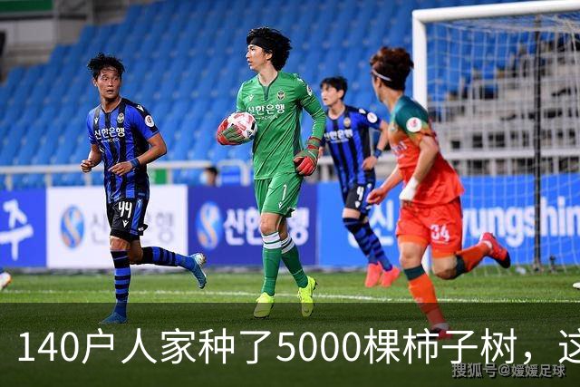 140户人家种了5000棵柿子树，这个浙江小村国庆6天来了8万人